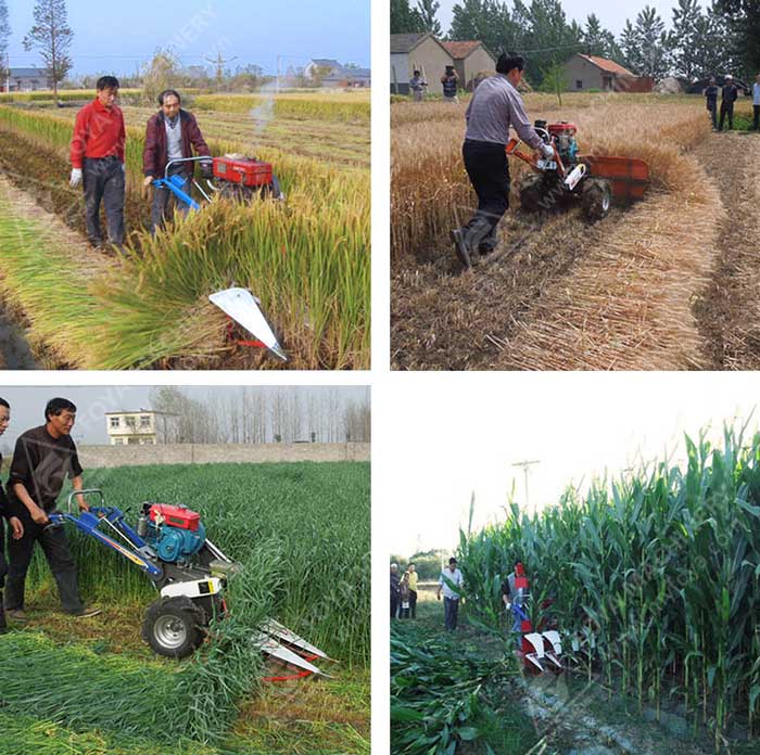 FOYA Disc Plough in the field