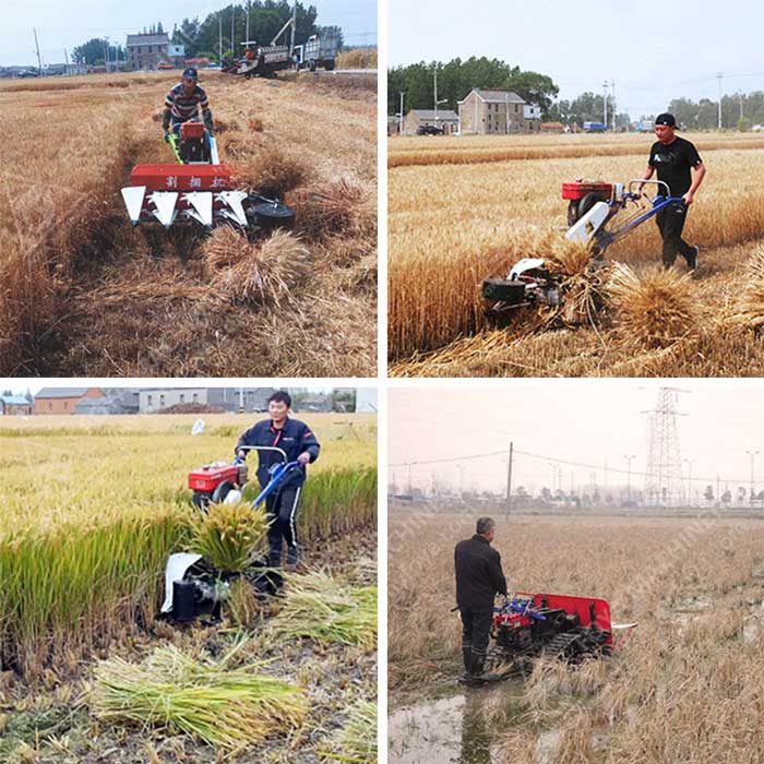 FOYA Fertilizer Spreader in operation