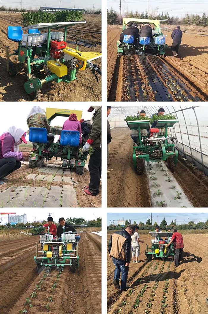 FOYA Garlic Harvester in the field