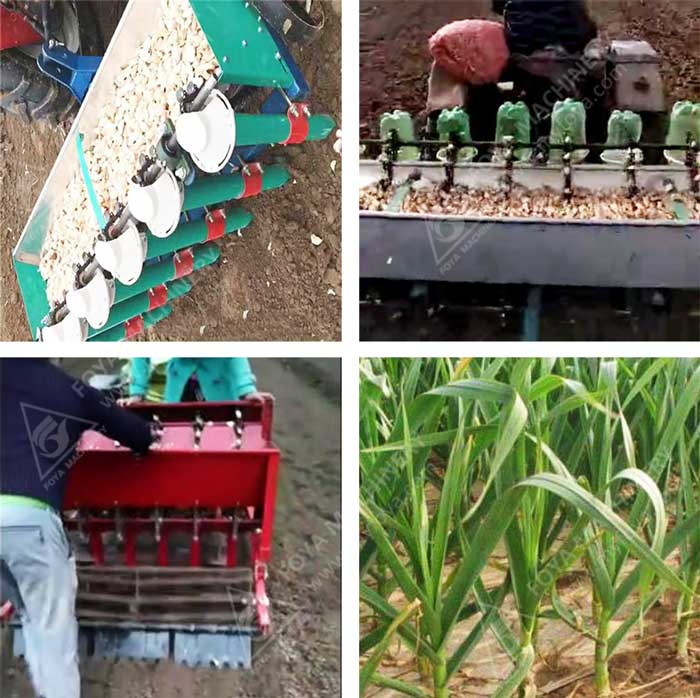 FOYA Garlic Planter in operation