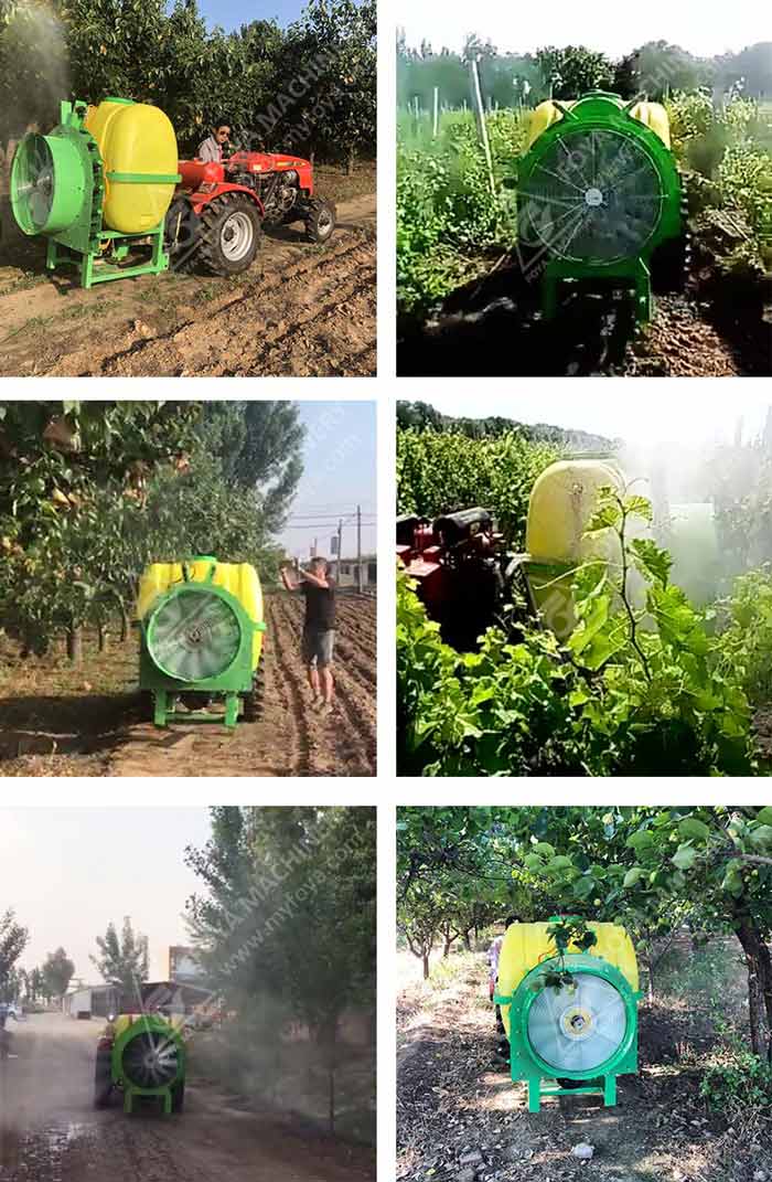 FOYA Manual Rice Transplanter in the field