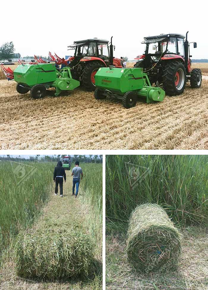 FOYA Palm Kernel Oil Press Plant in the field