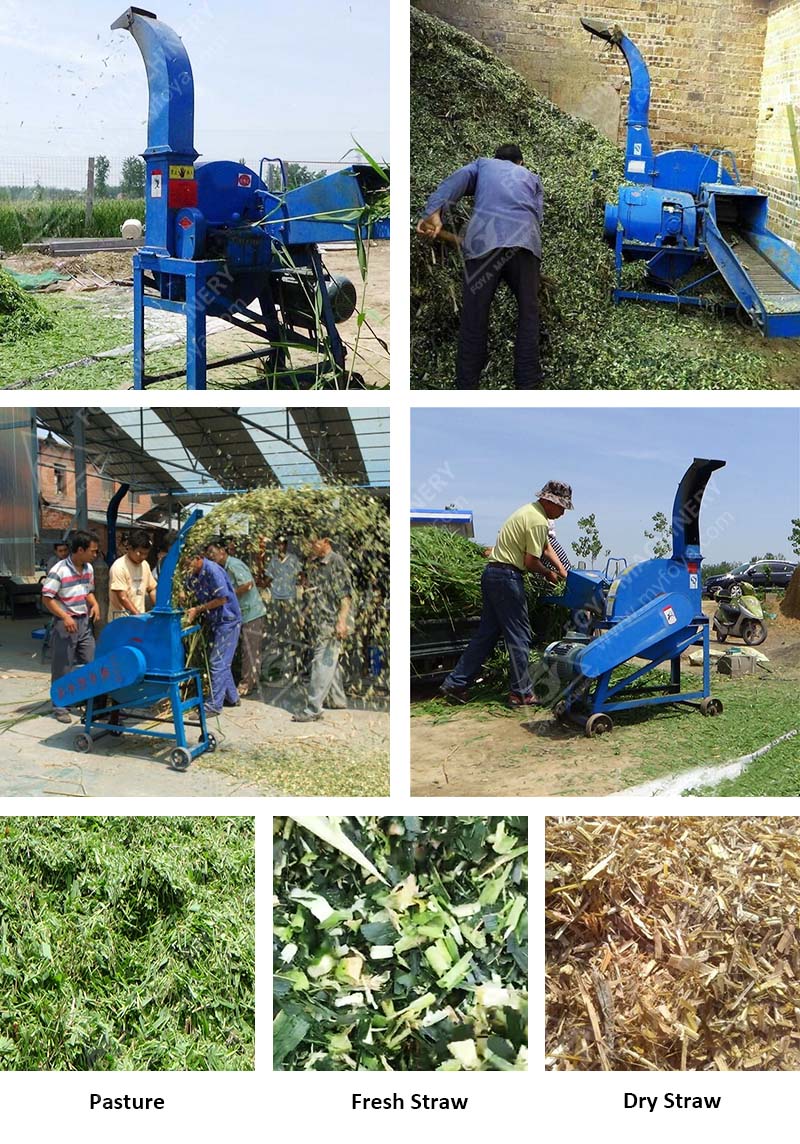 FOYA Silage Harvester Working in Costa Rica